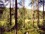 Стоянка в Такхколамбинах