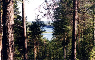 р. Чирко-Кемь