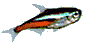 Неон