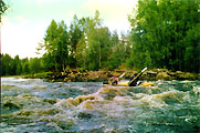 р. Суна